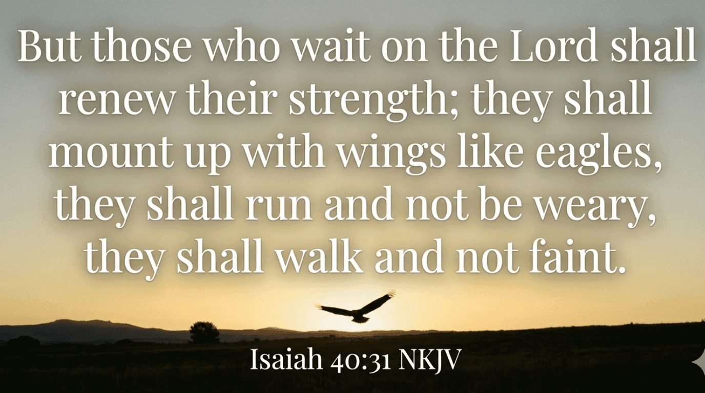 Bible verse graphic Isaiah 40:31 — Those who wait on the Lord shall renew their strength
