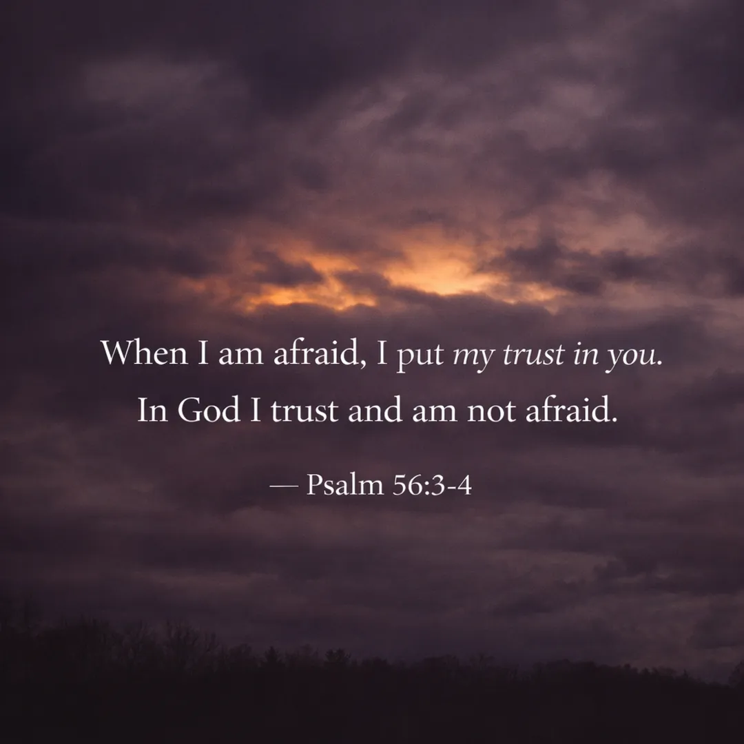 Scripture graphic -Psalm 56:3-4: When I am afraid, I put my trust in you. In God I trust and am not afraid