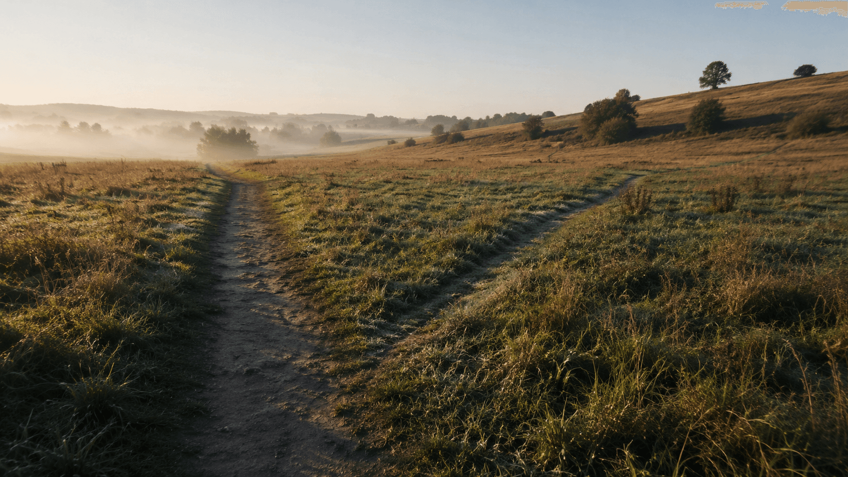 A deep worn footpath through a field with a faint new path branching off through fresh grass.